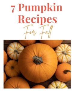 7 Pumpkin Recipes For Fall