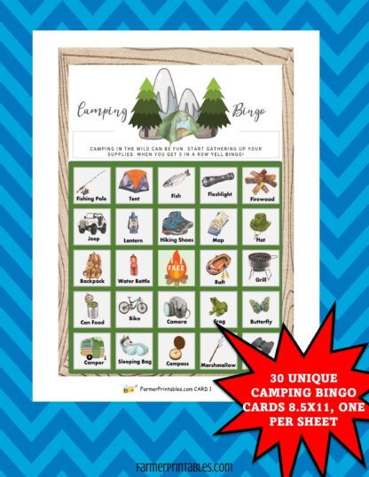 Bingo Camping Game Printable (1)